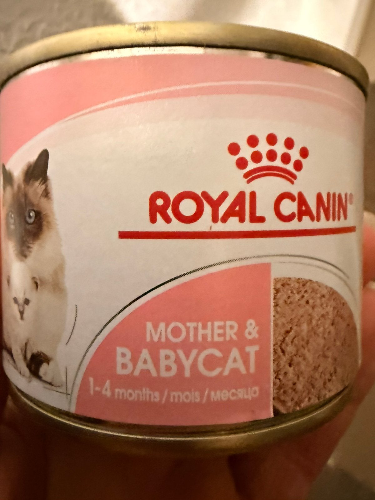 Royal canin Mother&Babycat 2 euro per blikje, Ophalen, Kat