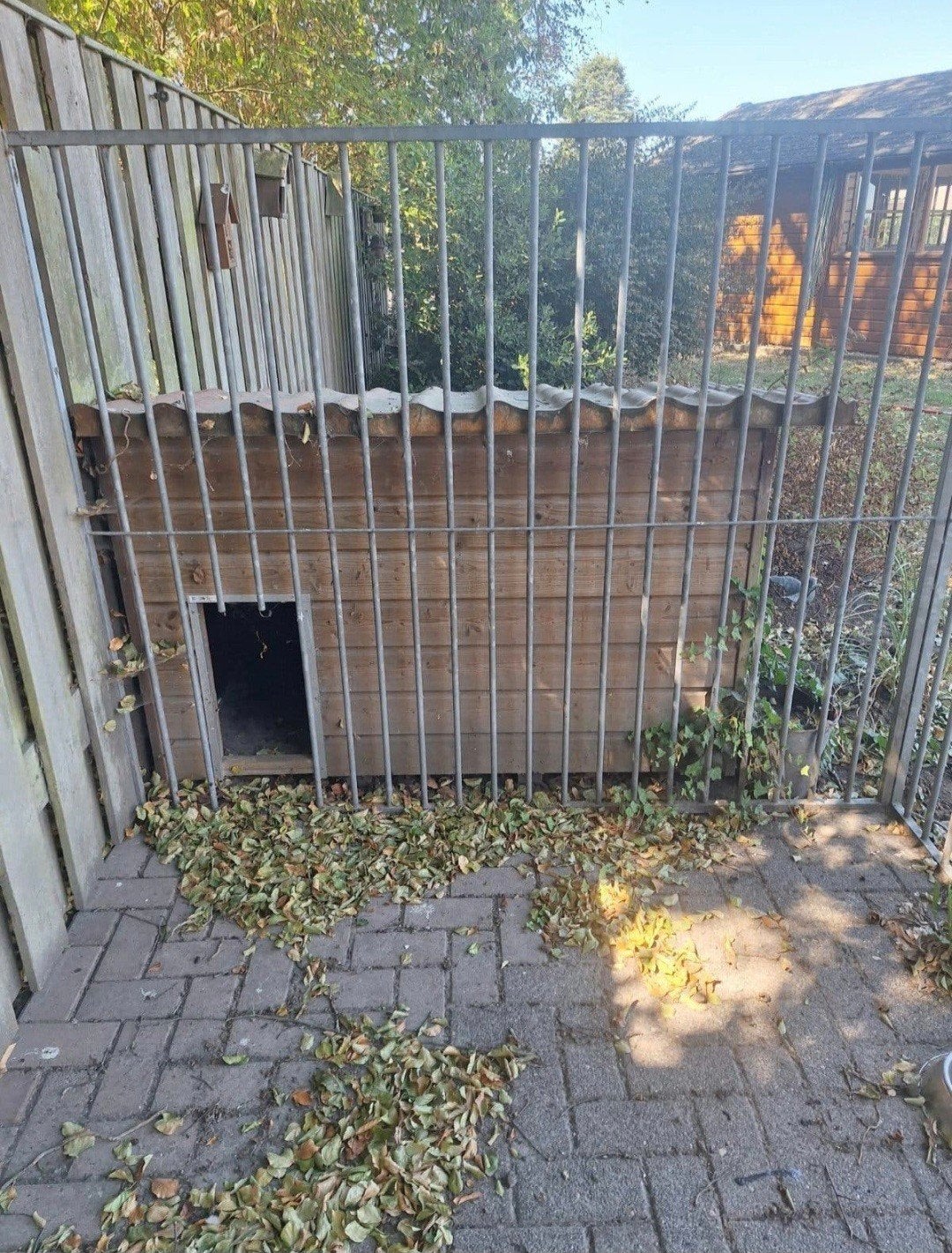 Honderen 2x3x1.60 met geisoleerd binnenhok, Dieren en Toebehoren, Ophalen, 110 cm of meer, 100 cm of meer