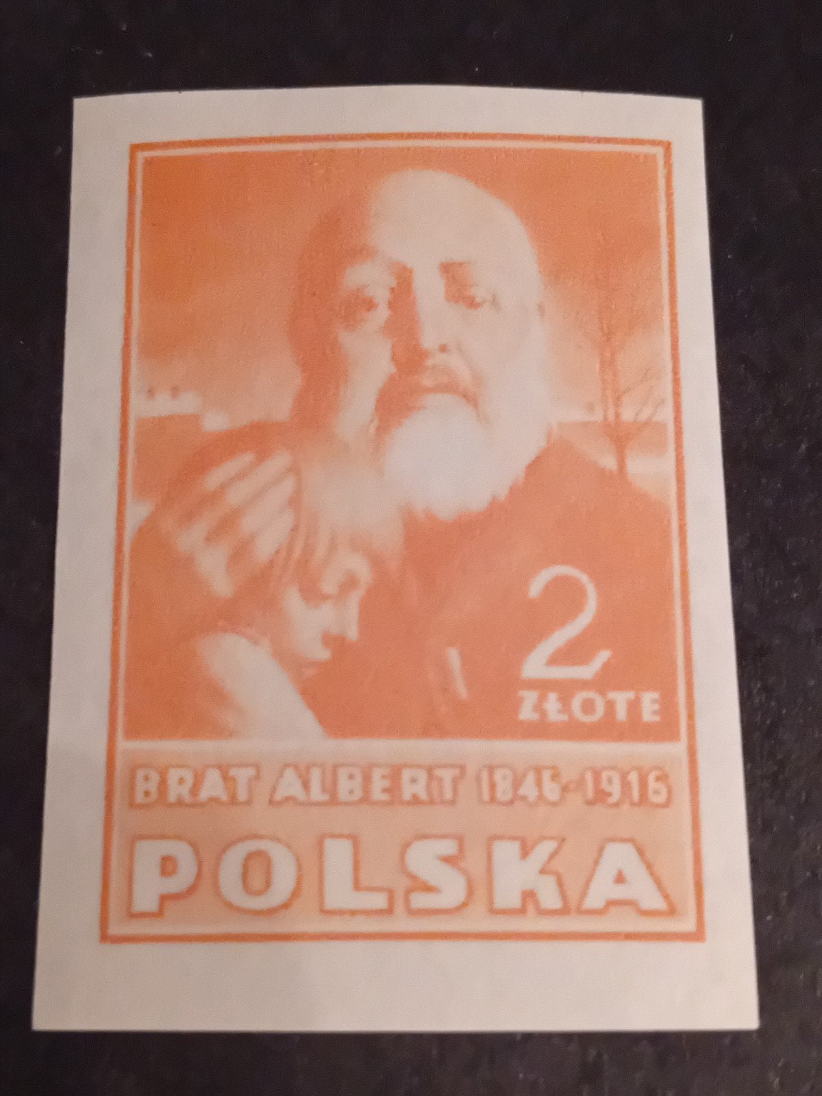 Polen postzegel 2 Złote - Brat Albert 1846-1916, Ophalen of Verzenden, Polen