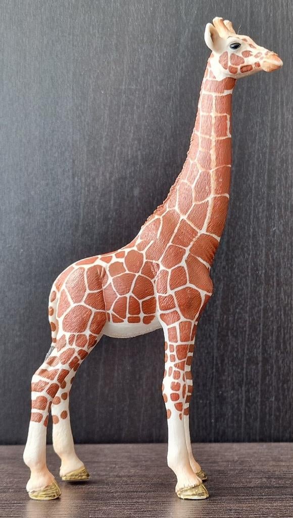 Schleich Wild Life Giraf Koe - 2015, Verzamelen, Dierenverzamelingen, Ophalen of Verzenden, Gebruikt, Wild dier, Beeldje of Figuurtje