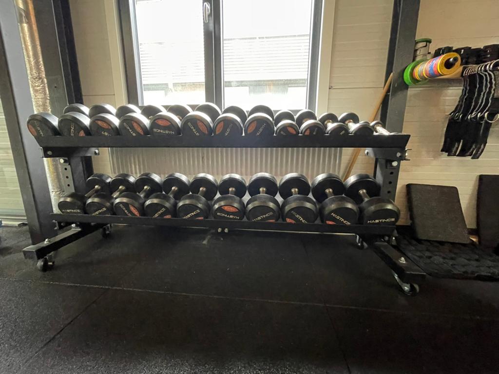 Dumbell rack incl dumbells hastings, Ophalen, Gebruikt, Dumbbell