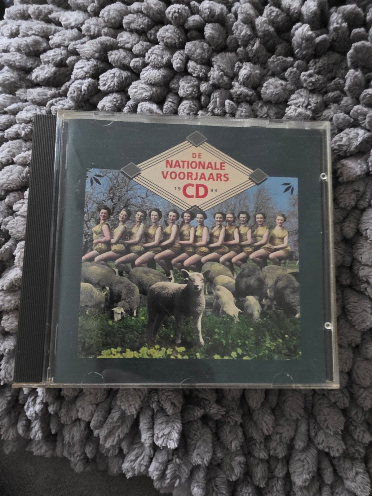 De Nationale Voorjaars CD 1993 - Diverse Artiesten, Ophalen of Verzenden, Gebruikt, Pop, Verzamelalbum