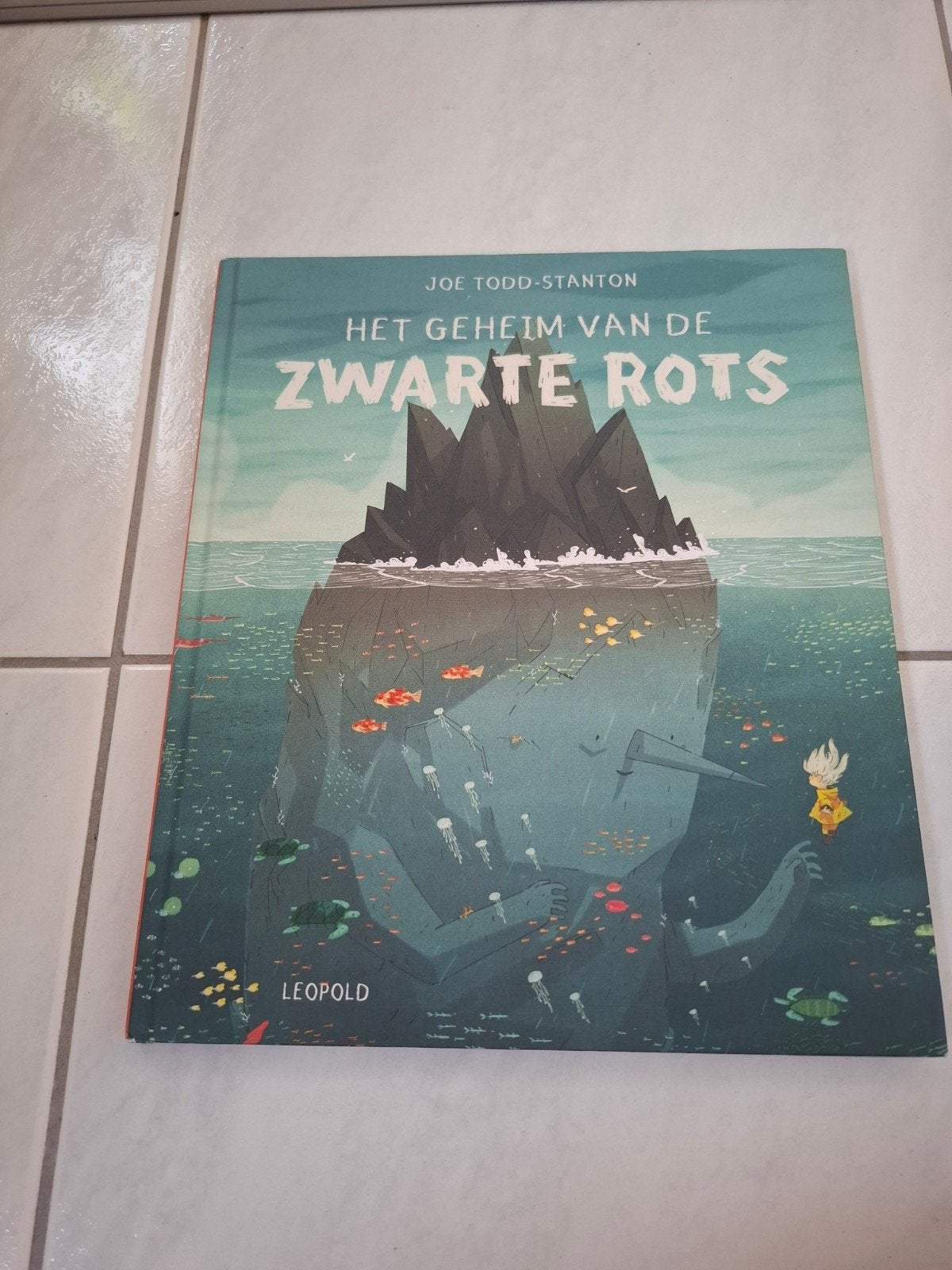 Het Geheim van de Zwarte Rots, Boeken, Ophalen, Zo goed als nieuw, Joe Todd-Stanton, Fictie