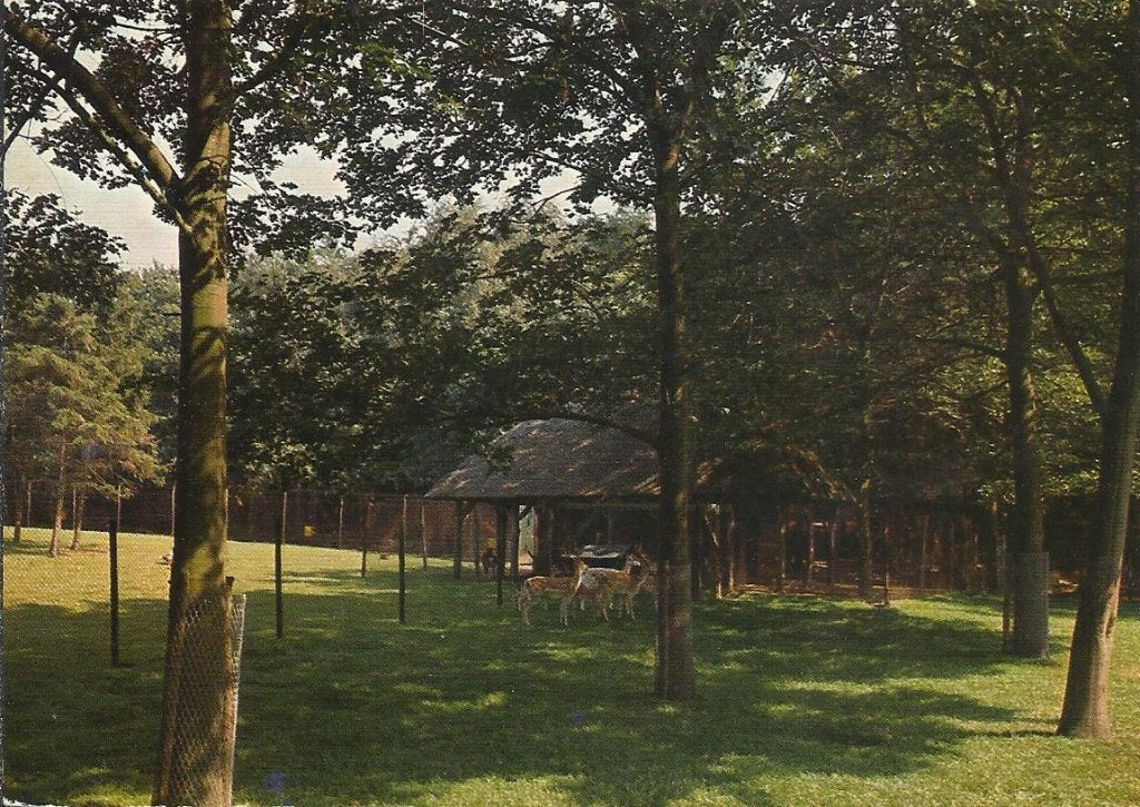 Gendringen   224, Ophalen of Verzenden, Voor 1920