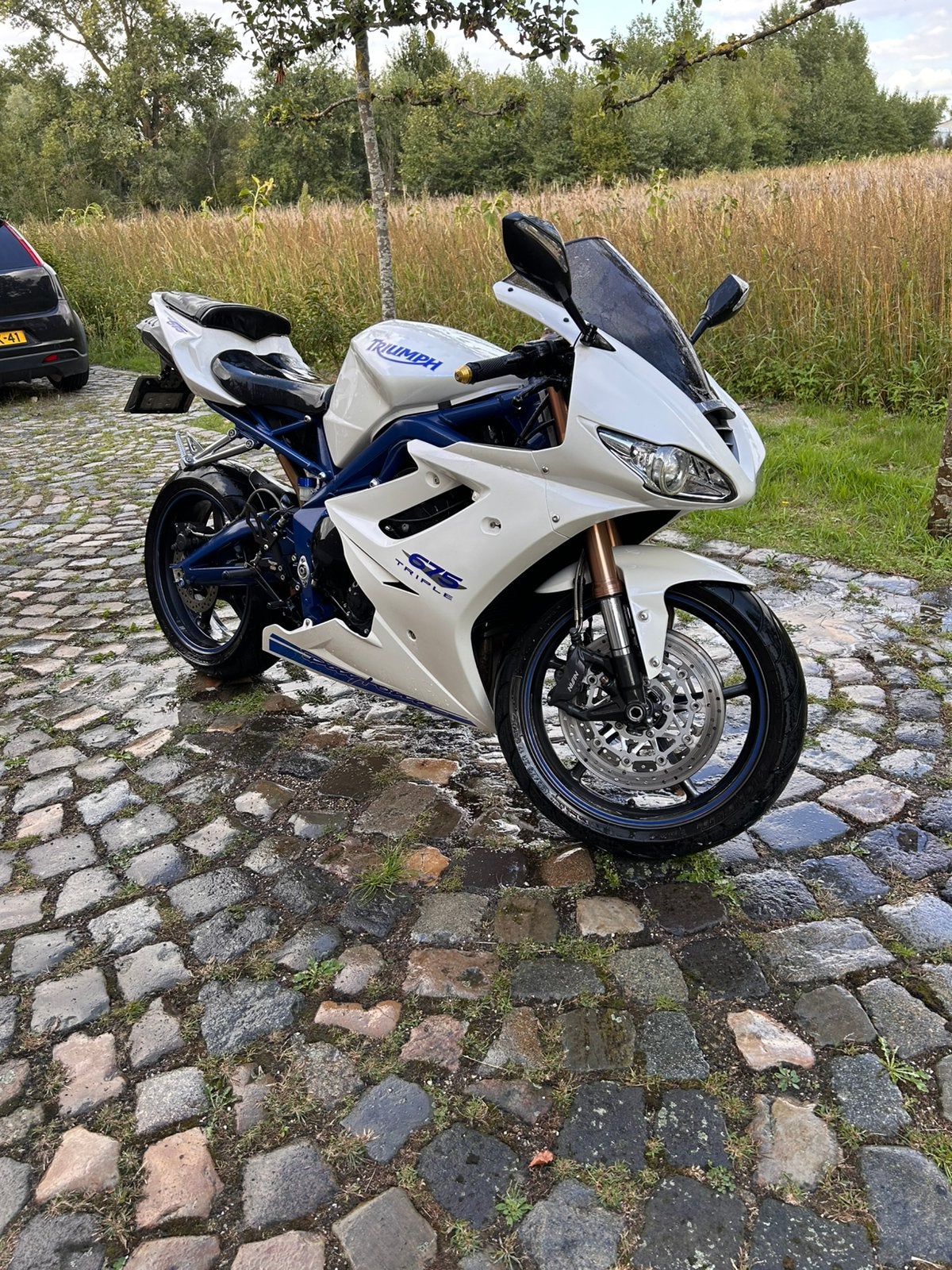 Triumph Daytona 675 SE, Motoren, Motorrijbewijs A, Gebruikt, 3 cilinders, Meer dan 35 kW