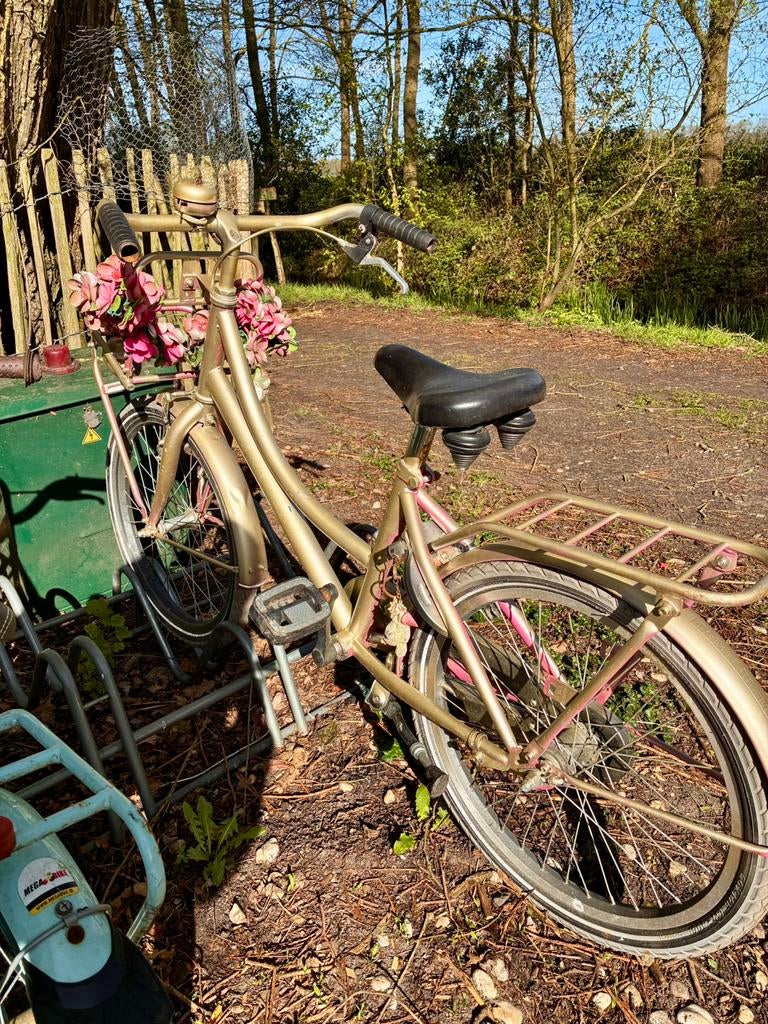 Gouden fiets, Minder dan 47 cm, Ophalen of Verzenden, Zo goed als nieuw, Overige merken