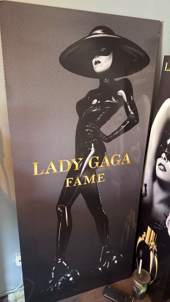 Cardboard Lady Gaga FAME, Ophalen, Zo goed als nieuw, Poster, Artwork of Schilderij