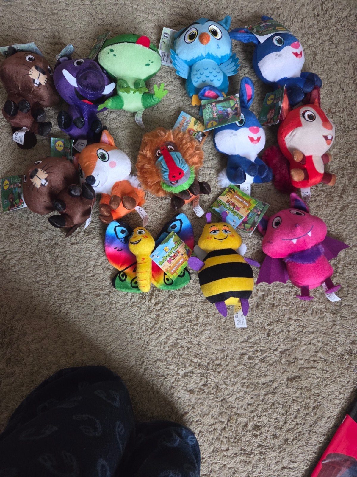 13 Nieuwe Lidl Knuffels - Safari & Achtertuin Mini's, Lidl, Overige typen, Nieuw, Ophalen of Verzenden
