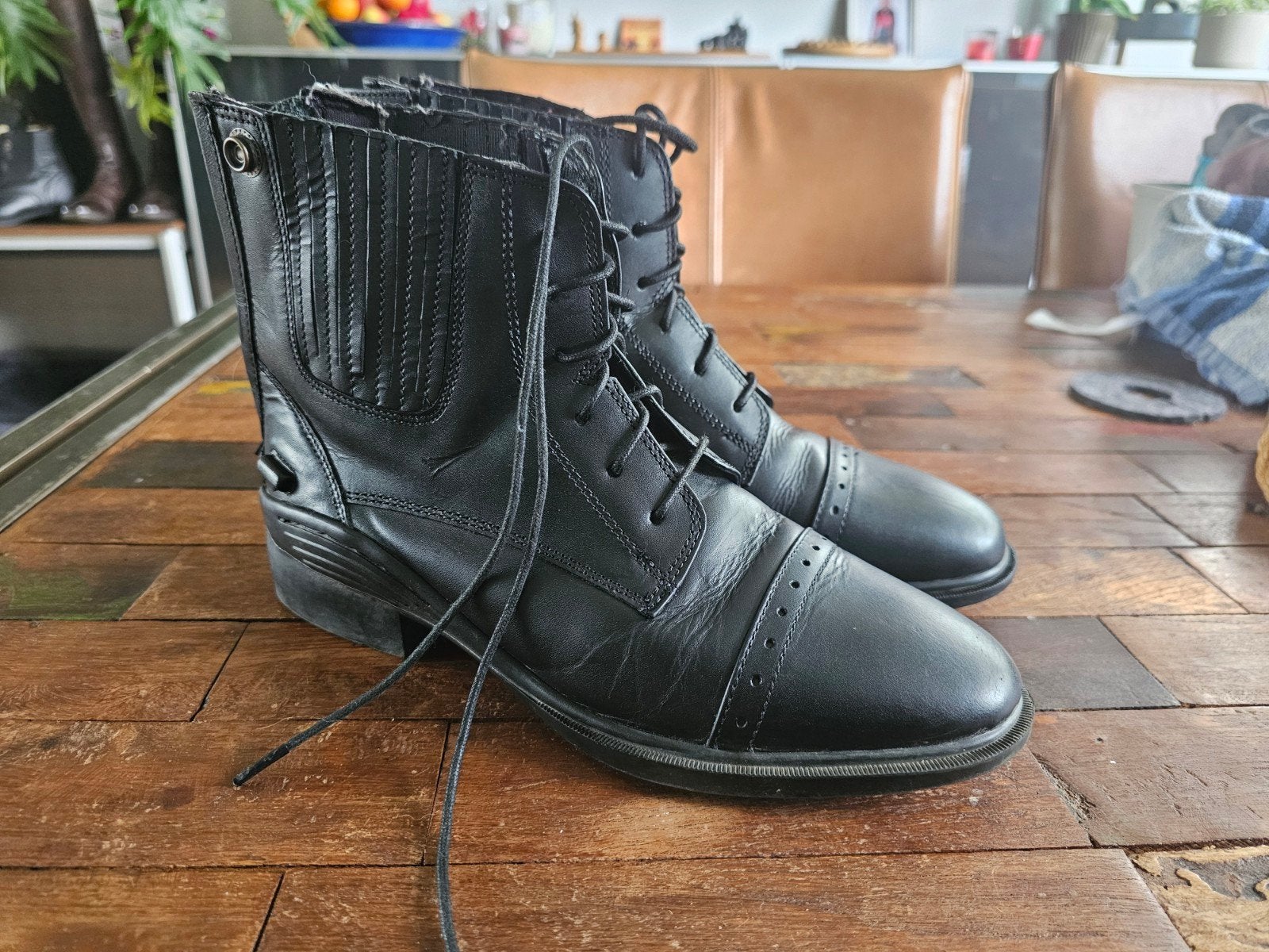 Jodphurs, maat 38, met veters en rits, Ritssluiting, Dressuur, Ophalen of Verzenden, Zo goed als nieuw