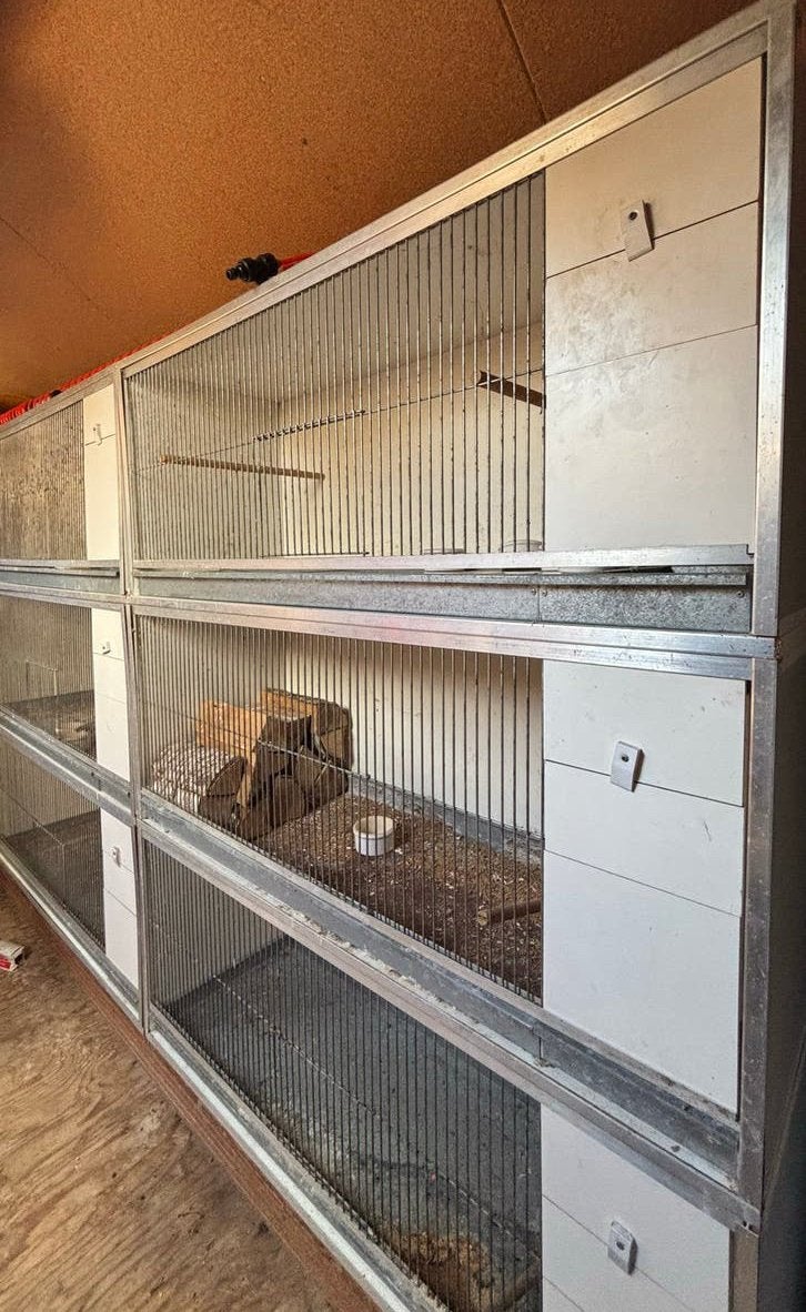 9 van Keulen kooien, Dieren en Toebehoren, Ophalen, Zo goed als nieuw, Hout, Vogelkooi