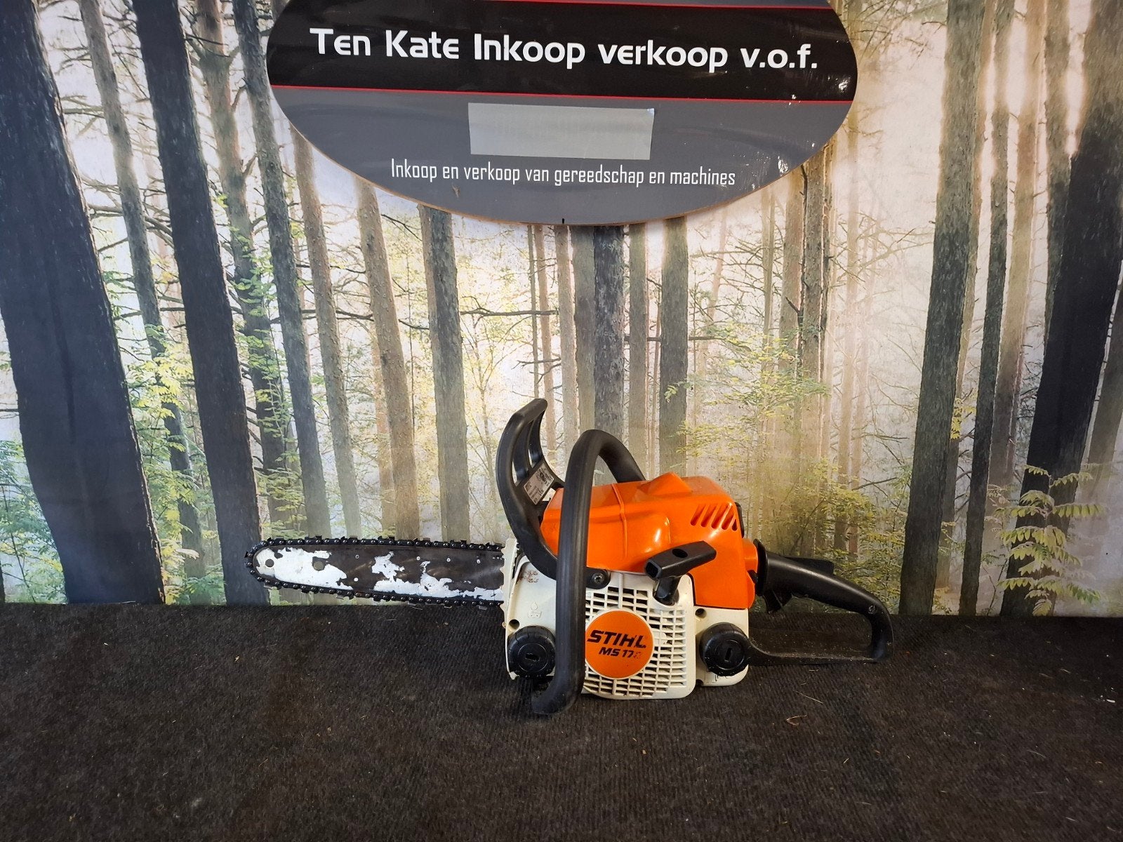 stihl kettingzaag ms170, Ophalen, Stihl, Gebruikt, Kettingzaag