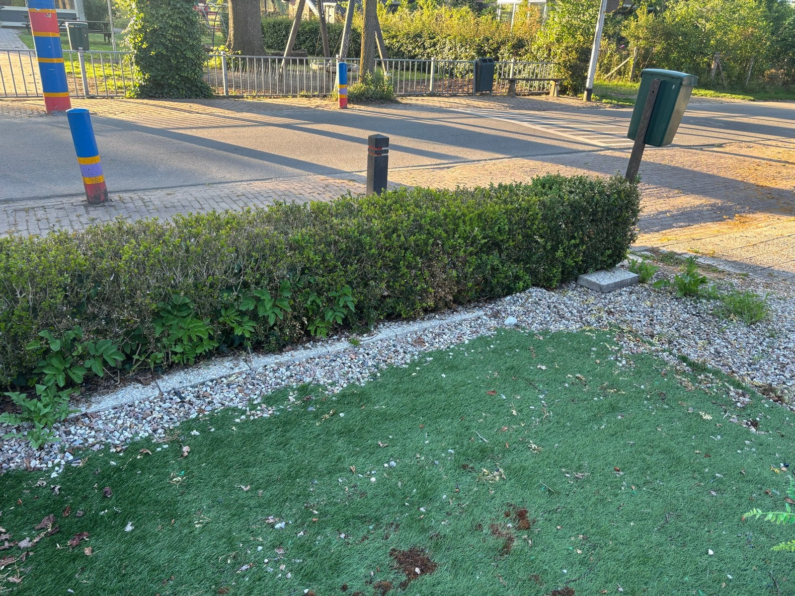 Buxus haag - Perfect voor uw tuin, Ophalen, Buxus, Haag, Minder dan 100 cm