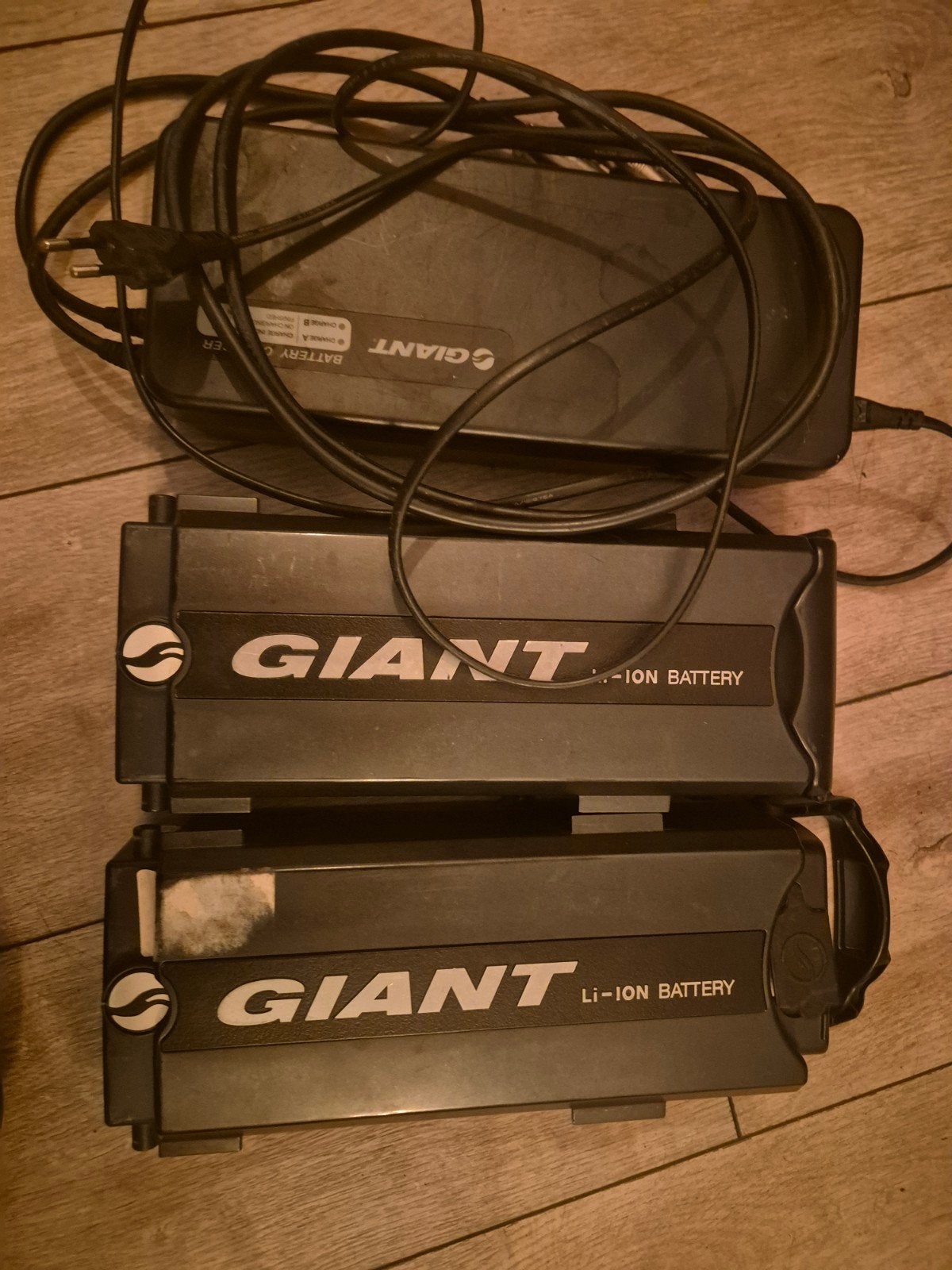 Giant E-bike Accu's en Oplader (2 stuks), Ophalen of Verzenden, Gebruikt