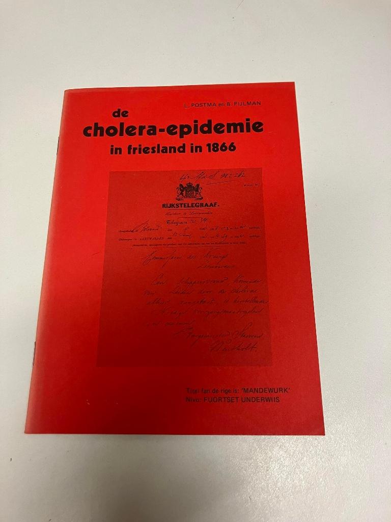 De cholera epidemie in Friesland in 1866, Ophalen of Verzenden, Gelezen