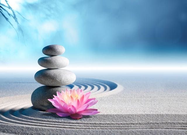 Professionele Waxing Betaalbaar, Cd's en Dvd's, Cd's | Meditatie en Spiritualiteit, Ophalen of Verzenden, Zo goed als nieuw
