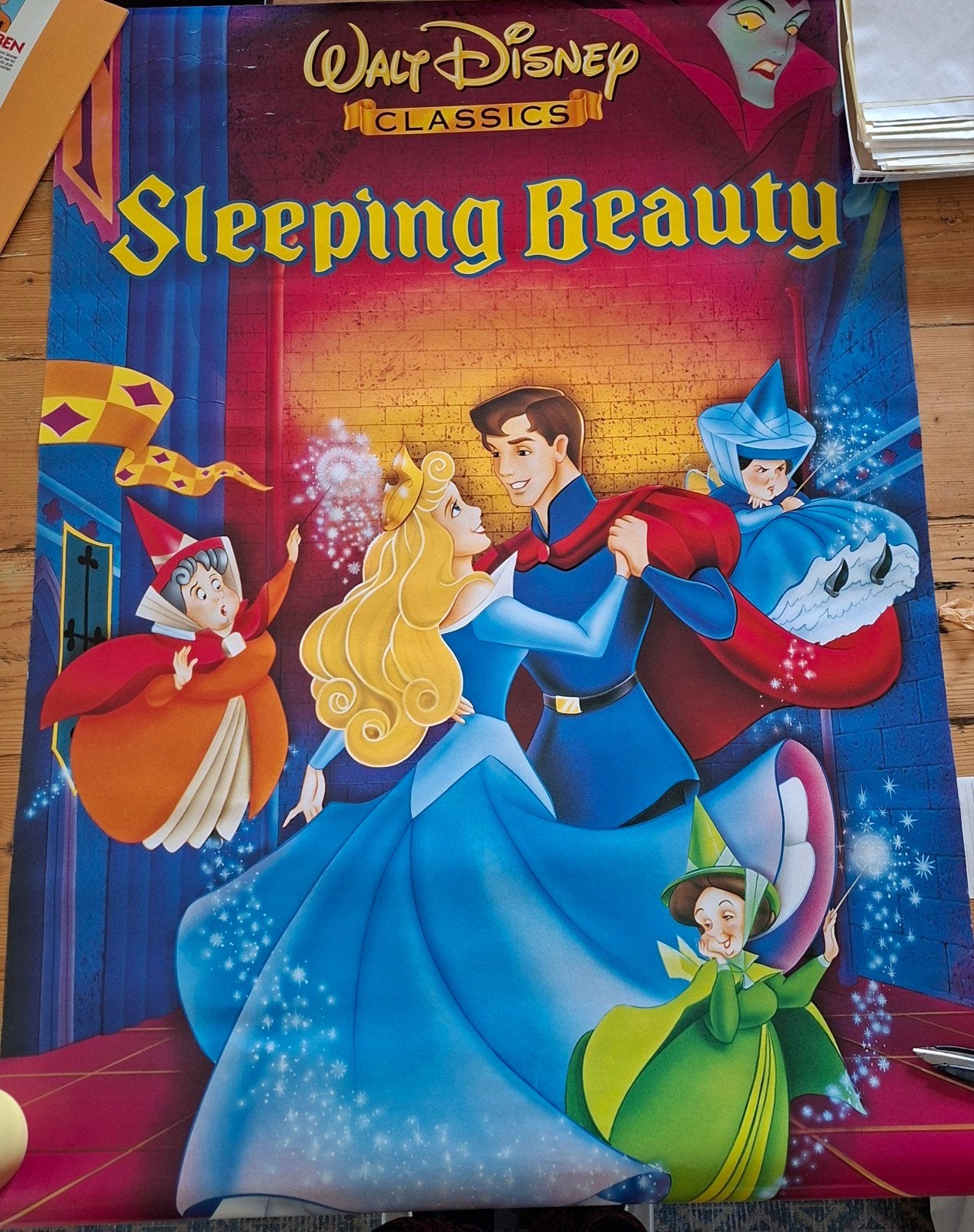 Affiche groot disney sleeping beauty, Ophalen of Verzenden, Sneeuwwitje of Doornroosje, Zo goed als nieuw, Plaatje of Poster