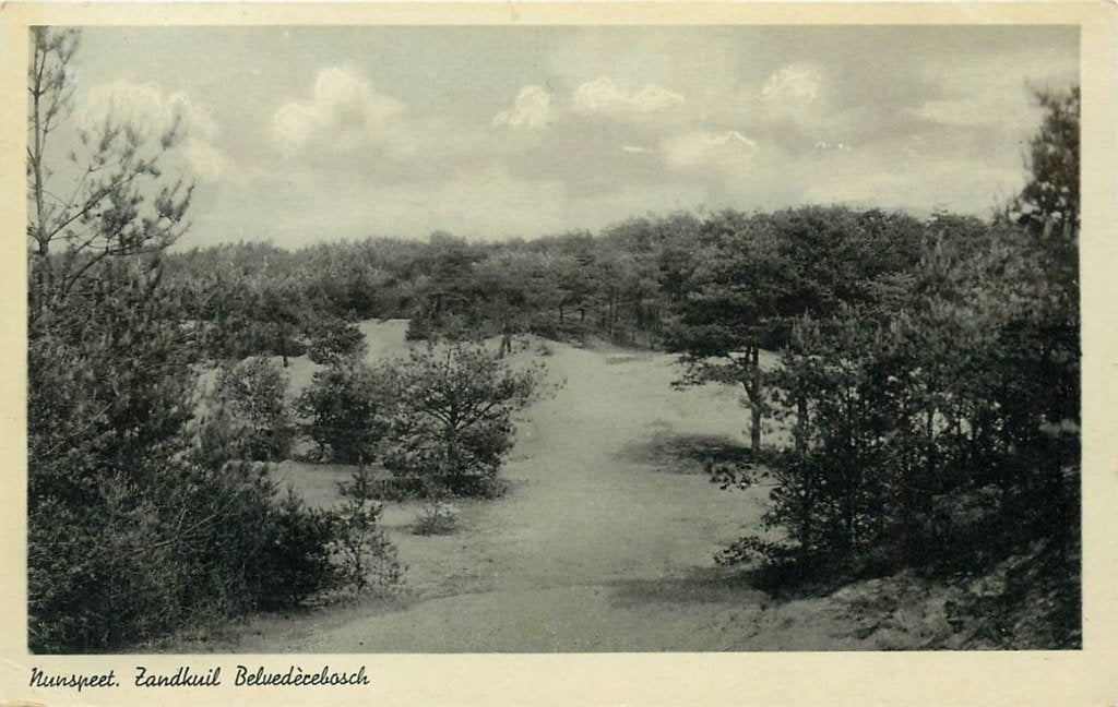 379-240-035 Nunspeet Belvederebosch, Ophalen of Verzenden, Voor 1920, Gelderland