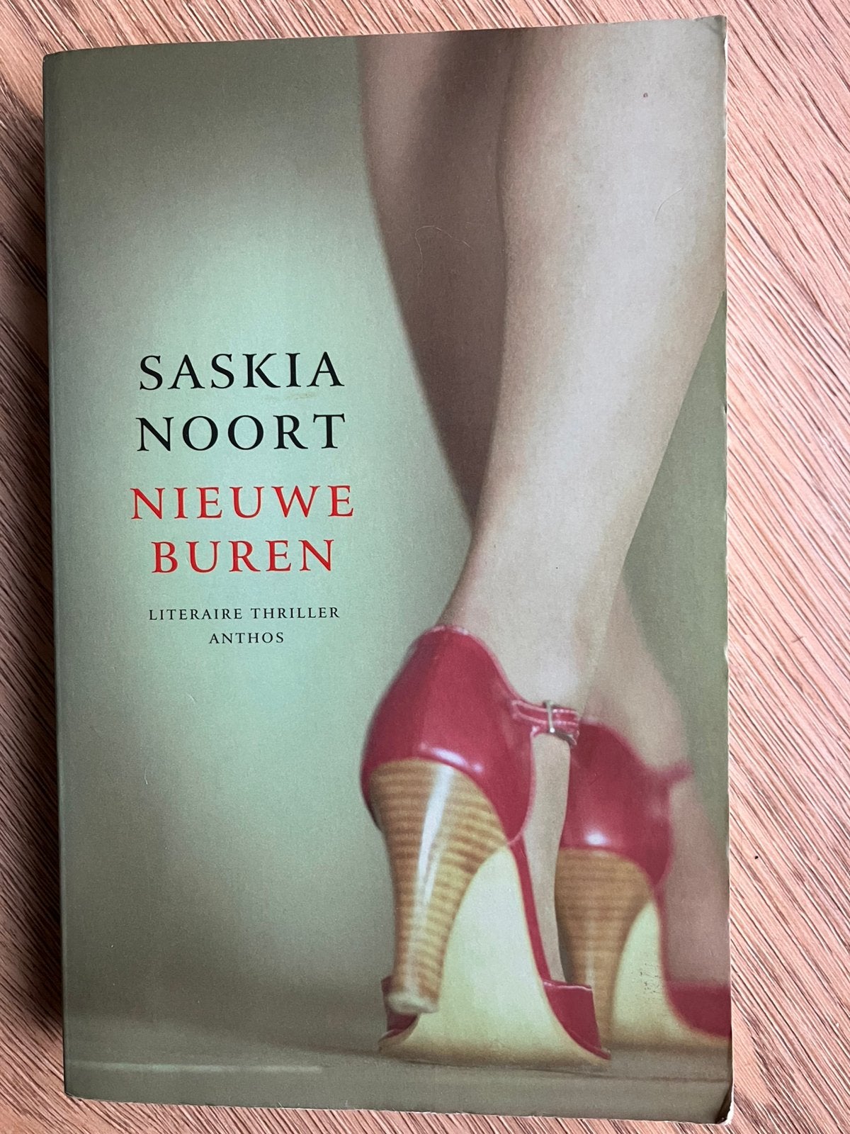 Nieuwe Buren - Saskia Noort (Literaire Thriller), Ophalen, Gelezen, Nederland