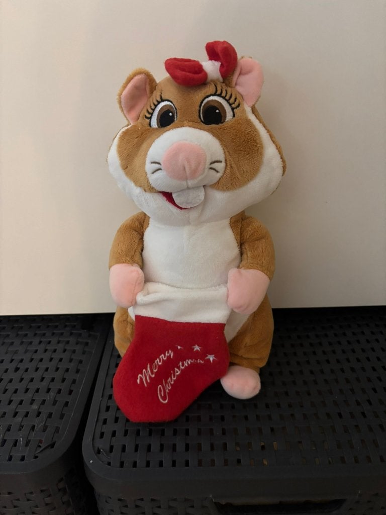 Albert heijn hamster knuffel kerstmis kerstsok 28 cm!, Hamster, Ophalen of Verzenden, Zo goed als nieuw, Middelgroot (20 tot 80 cm)
