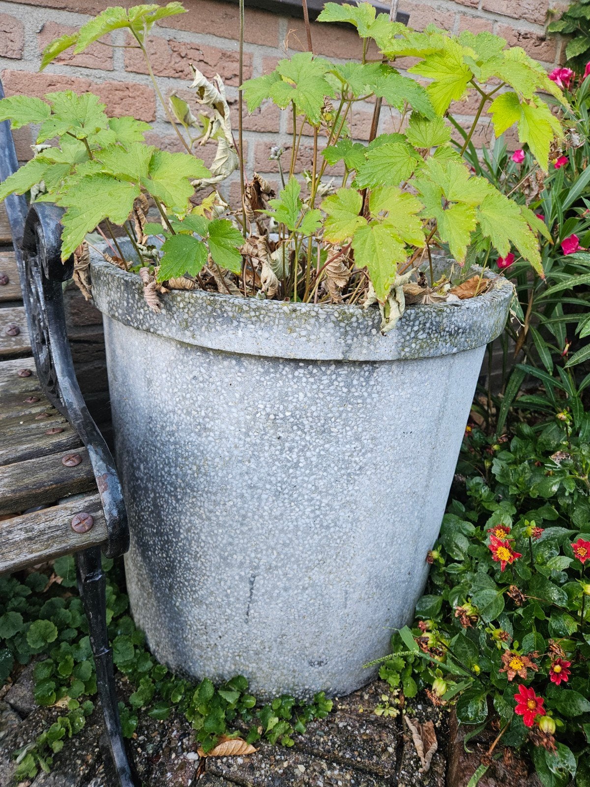 Grote Italiaanse granieten bloempot voor buiten, Ophalen, Steen, 40 cm of meer, Rond