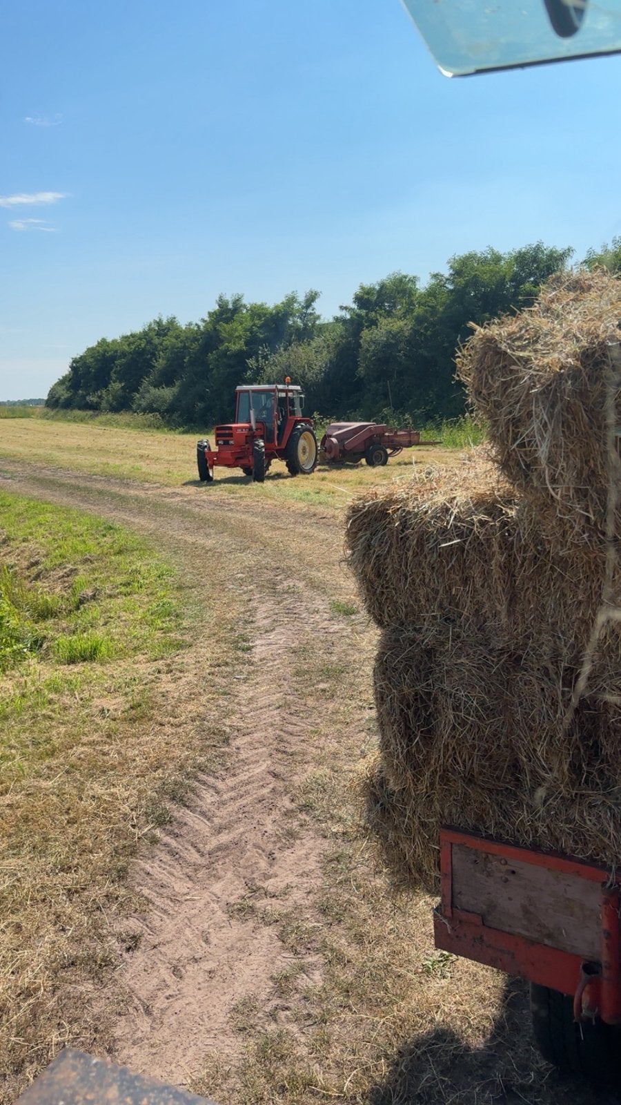 Kleine hooipakjes pakjes hooi , ook nog van 2025, Ophalen, Vee