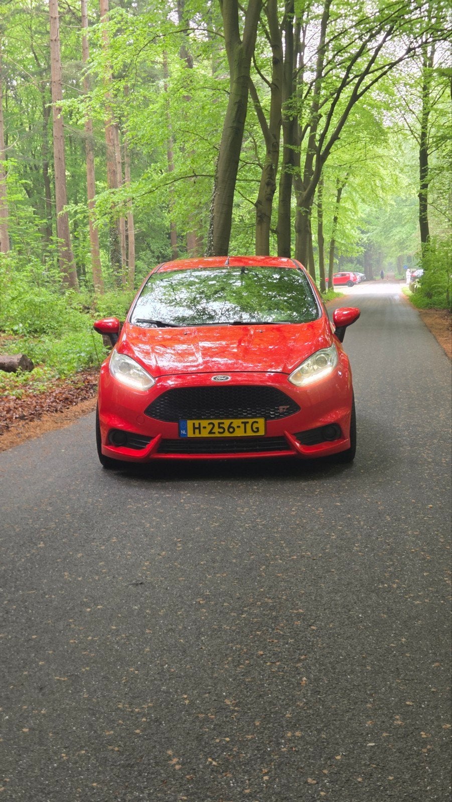 Ford Fiësta ST 1.6 Ecoboost 3D 2015 Rood, Voorwielaandrijving, 1596 cc, Zwart, 4 cilinders