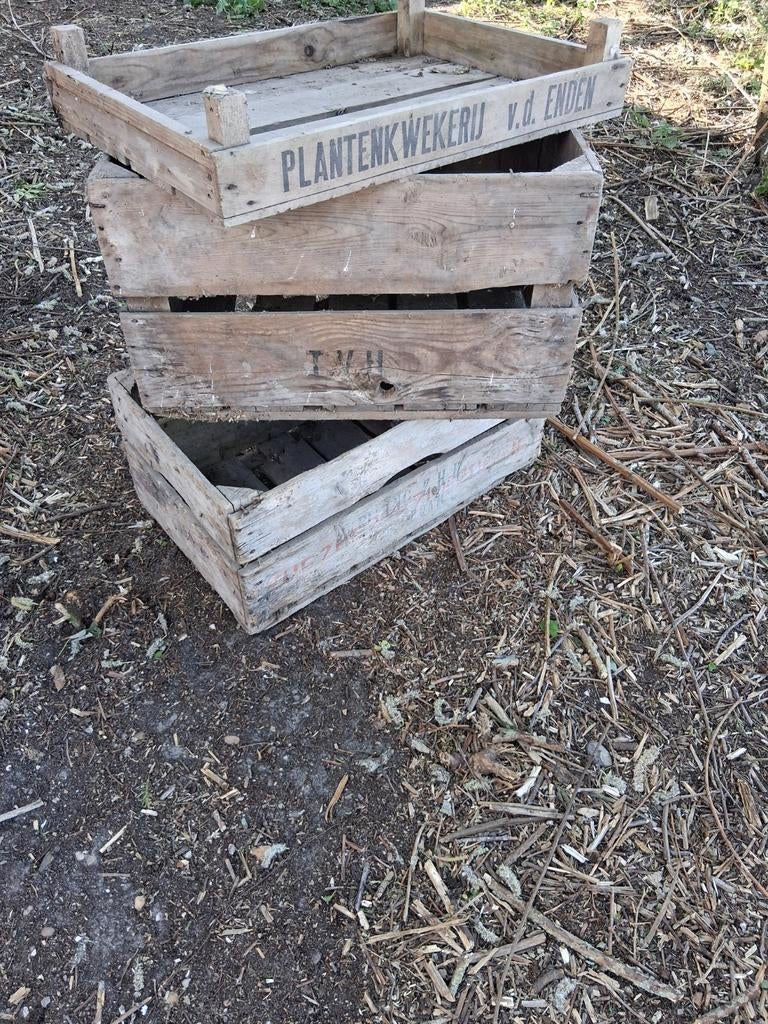 Set van 3 houten ( veiling ) kistjes, Tuin en Terras, Bloembakken en Plantenbakken, Ophalen, Gebruikt, Minder dan 30 cm, Rond