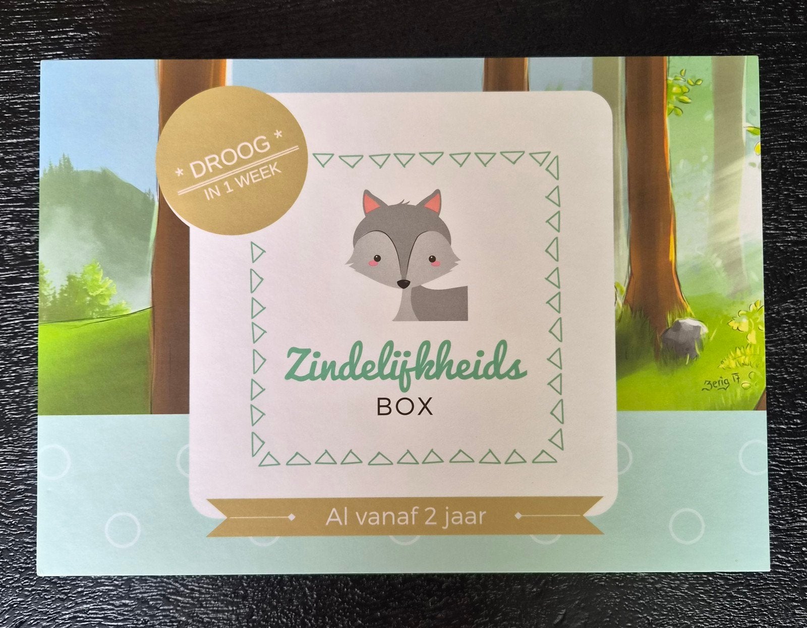 Zindelijkheidsbox (excl. stickerkaarten, stickers, diploma), Ophalen of Verzenden, Zo goed als nieuw, Ontdekken