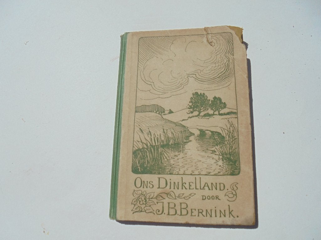 1918 Oost Twente Ons Dinklland J.B. Bernink (R2-59), Boeken, Ophalen, Gelezen