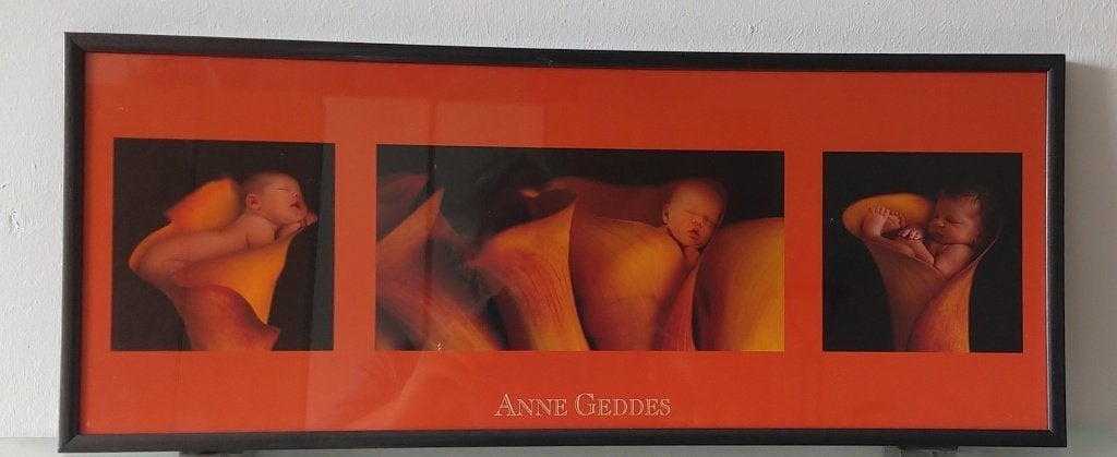 Anne GeddesDeco  baby foto shoot poster, volgnr 2, Gebruikt, Oorspronkelijke maker, Ophalen of Verzenden, Foto of Poster