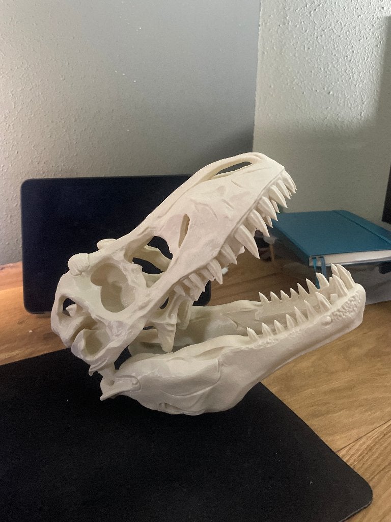Trex hoofd 3d print, Verzenden
