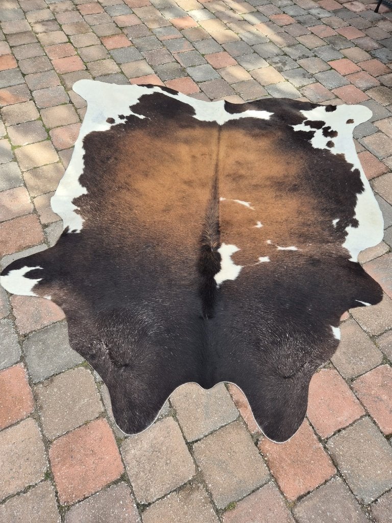 Onbeschadigde koeienhuid - Bruin, zwart en wit, Ophalen, Natuurlijk, Rustiek, Modern, 100 tot 150 cm, Bruin