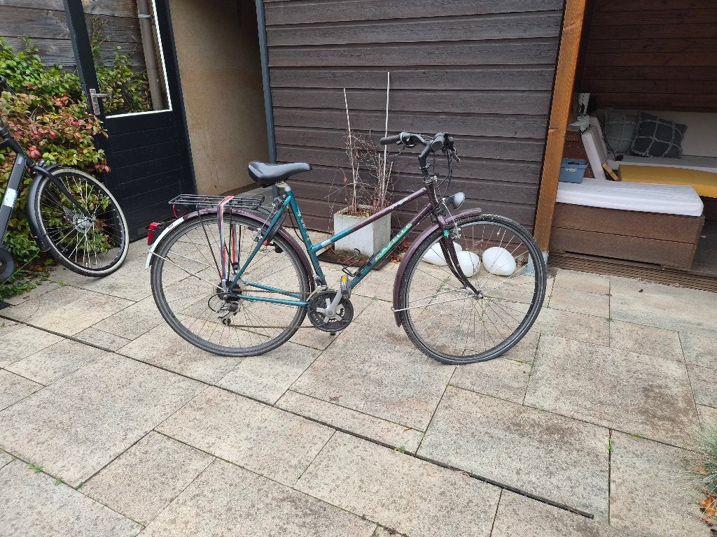 gazelle dames fiets, Ophalen, Velgrem, 47 tot 50 cm, Gazelle