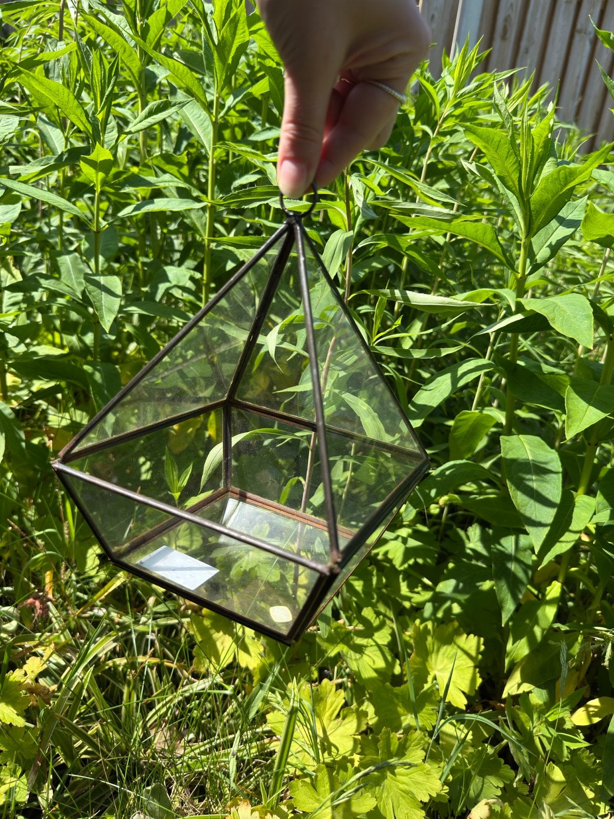 Glazen terrarium/stolp hangend - Geometrisch Design, Ophalen, Zwart, Zo goed als nieuw, Modern