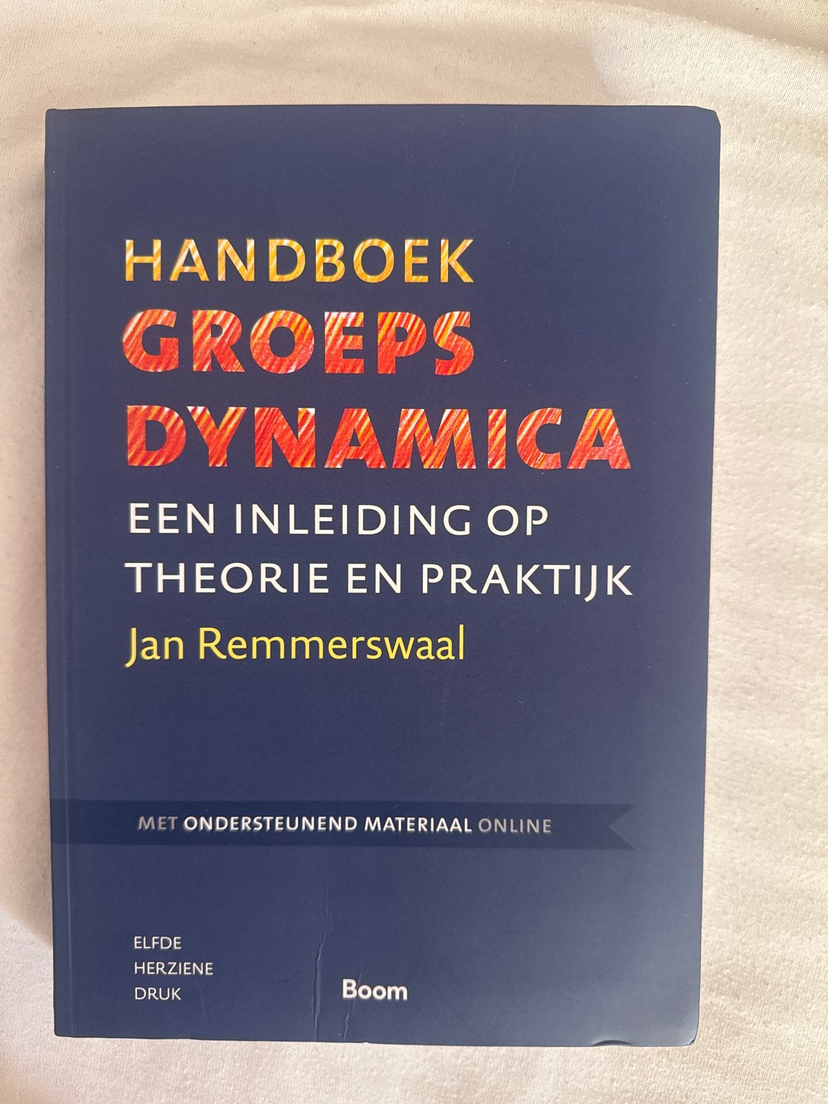 Handboek Groepsdynamica - Jan Remmerswaal, Boeken, Studieboeken en Cursussen, Ophalen of Verzenden, Gamma, Zo goed als nieuw, HBO