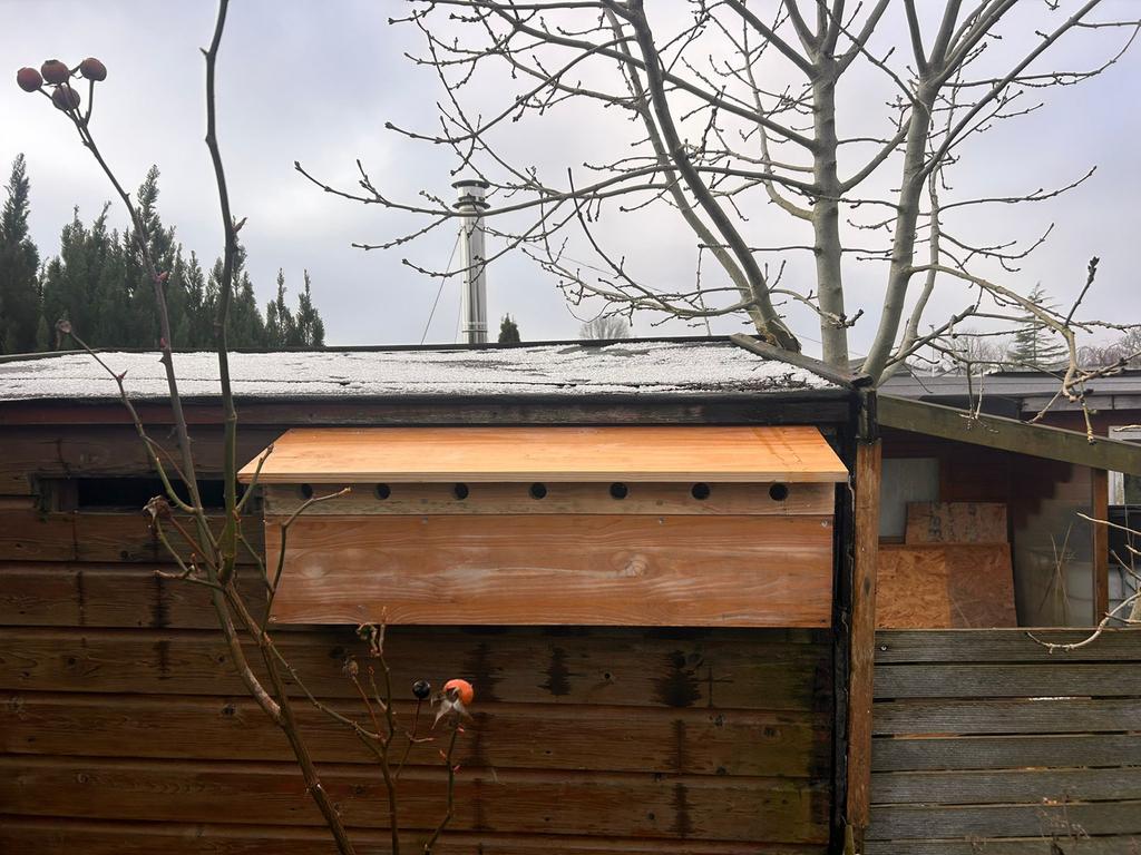 Vogelhuisje / Vogelhotel - Op bestelling, Ophalen of Verzenden, Nieuw