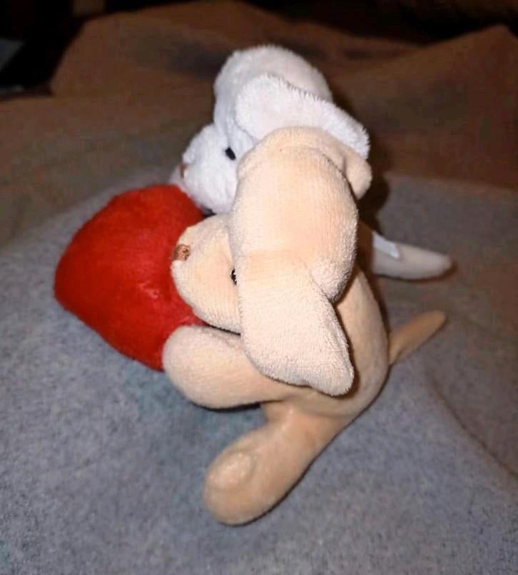 Knuffel hondjes met hart hond bruin en creme rood hartje, Ophalen of Verzenden, Zo goed als nieuw, Hond
