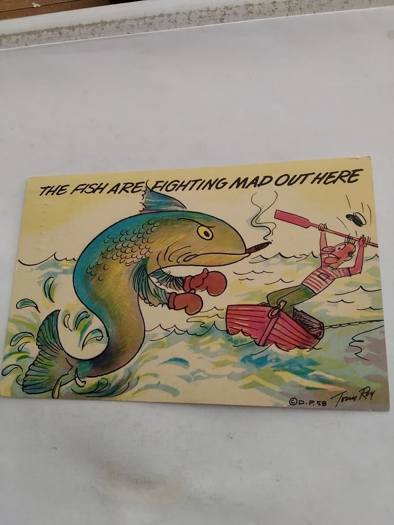 TONY ROY/  THE FISH ARE FIGHTING MAD OUT HERE, Ophalen of Verzenden, 1980 tot heden, Overige thema's