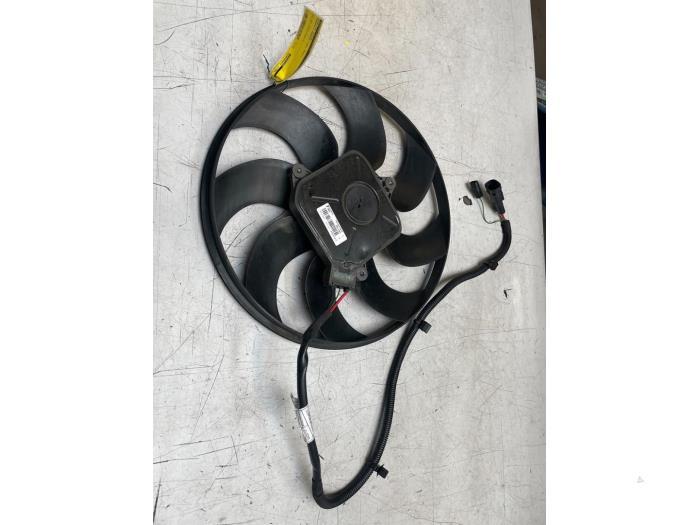 Koelvin Motor van een Renault Kangoo, Gebruikt, -, Renault, -