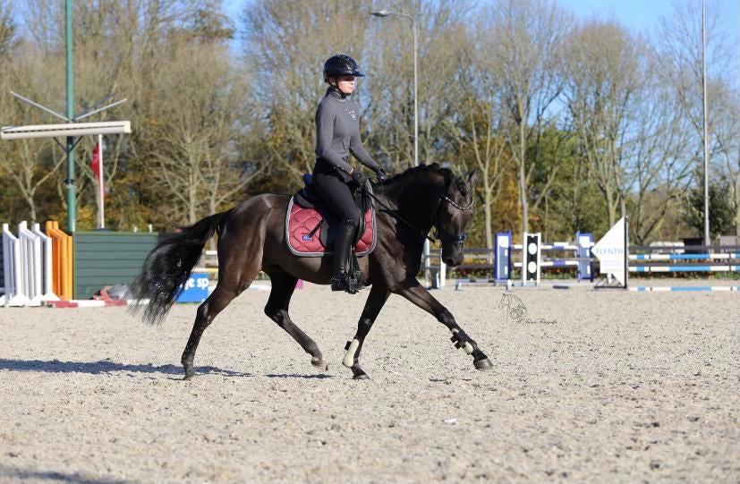 Paardij-instructie op maat, Paardrijles of Ponykampen