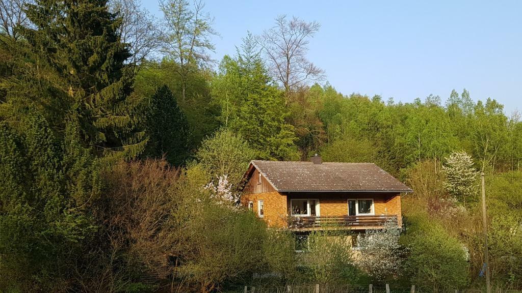 HEERLIJK LUXE VRIJSTAAND HUIS in het Sauerland,bij Diemelsee, Vakantie, Vakantiehuizen | Duitsland, Open haard, Landelijk, Sauerland