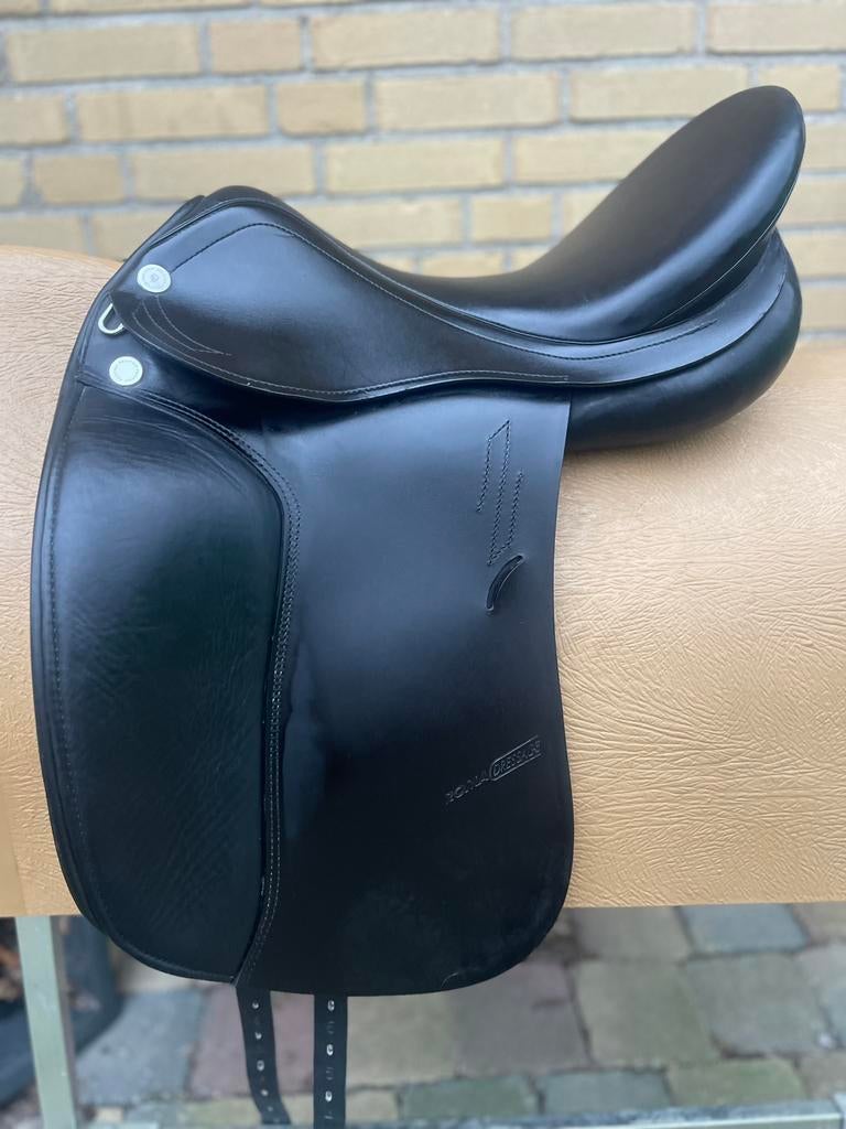 Mooi prestige roma dressage Gratis passervice bij aanschaf, Dieren en Toebehoren, Zeeasterweg, Ophalen of Verzenden, Ck, Kelly@schuuring.net