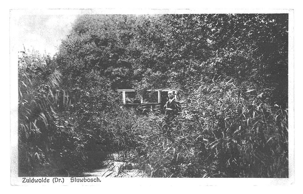 991230 Zuidwolde Drenthe 1927 Stuwbos Gelopen met postzegel, Ophalen of Verzenden, 1920 tot 1940, Gelopen, Drenthe