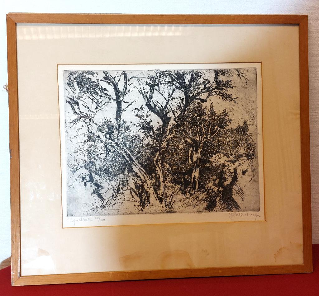 Jan Mensinga ets 10/20 – gesigneerd, Antiek en Kunst, Kunst | Etsen en Gravures, Ophalen of Verzenden