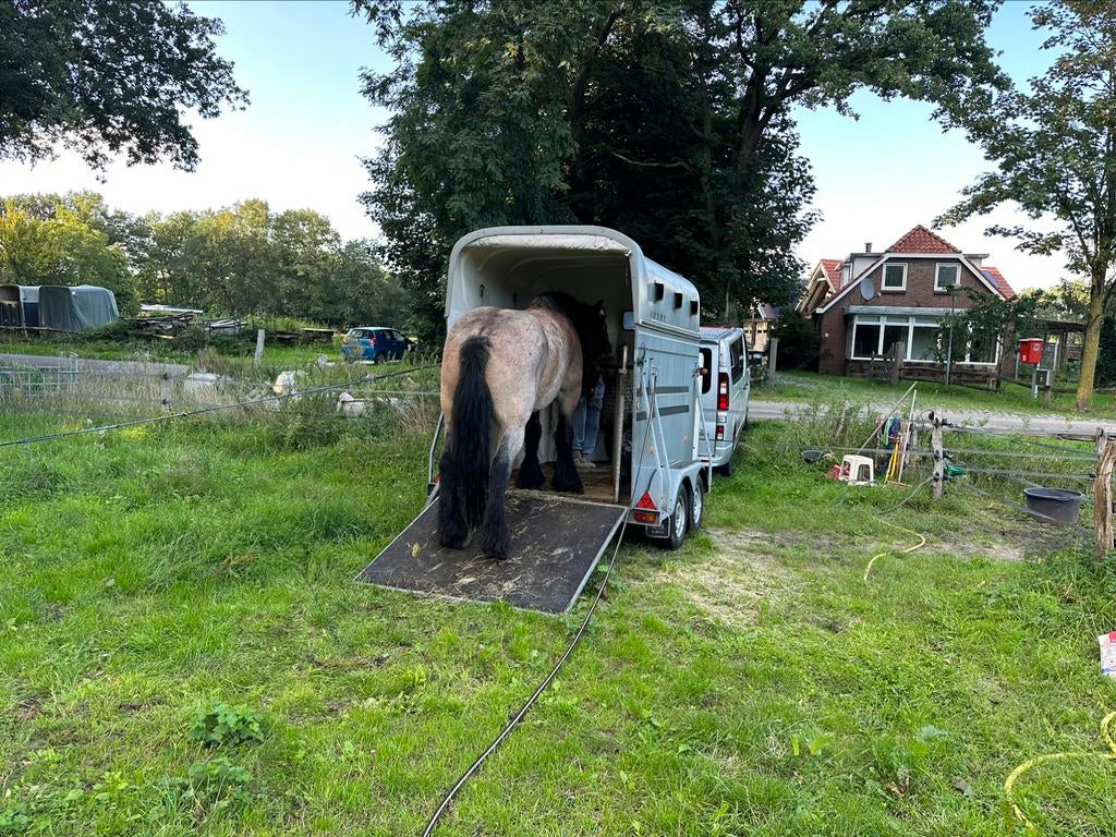 Paardentaxi Veluwe vervoer door heel Nederland 🇳🇱, Diensten en Vakmensen, Taxivervoer