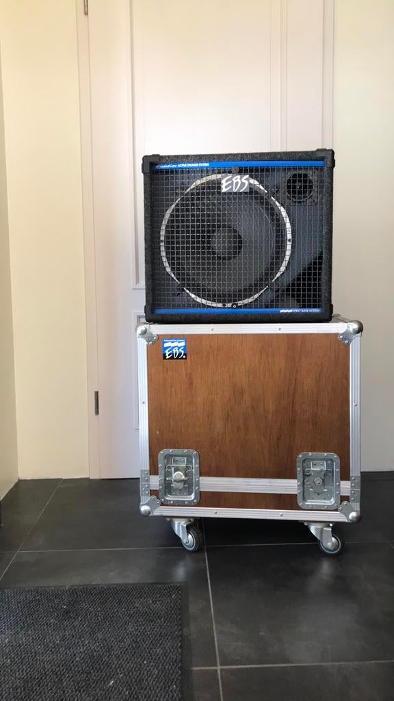 EBS - AC300 activ sub in flightcase, Muziek en Instrumenten, Versterkers | Bas en Gitaar, Ophalen, Zo goed als nieuw, 100 watt of meer