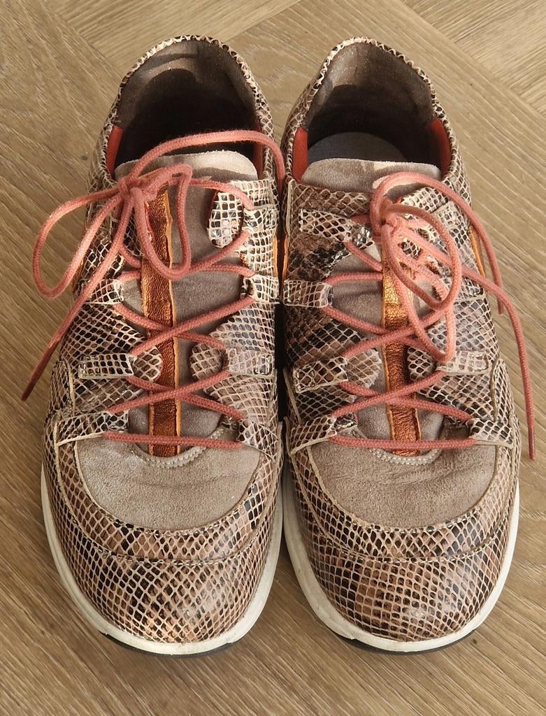 Xsensible Stretchwalker Lille Maat 40G, Xsensible, Bruin, Gedragen, Wandelschoenen