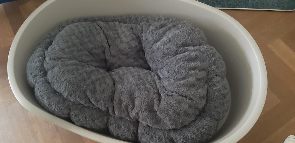 Hondenmand (eventueel met kussen), Dieren en Toebehoren, Ophalen, Nieuw