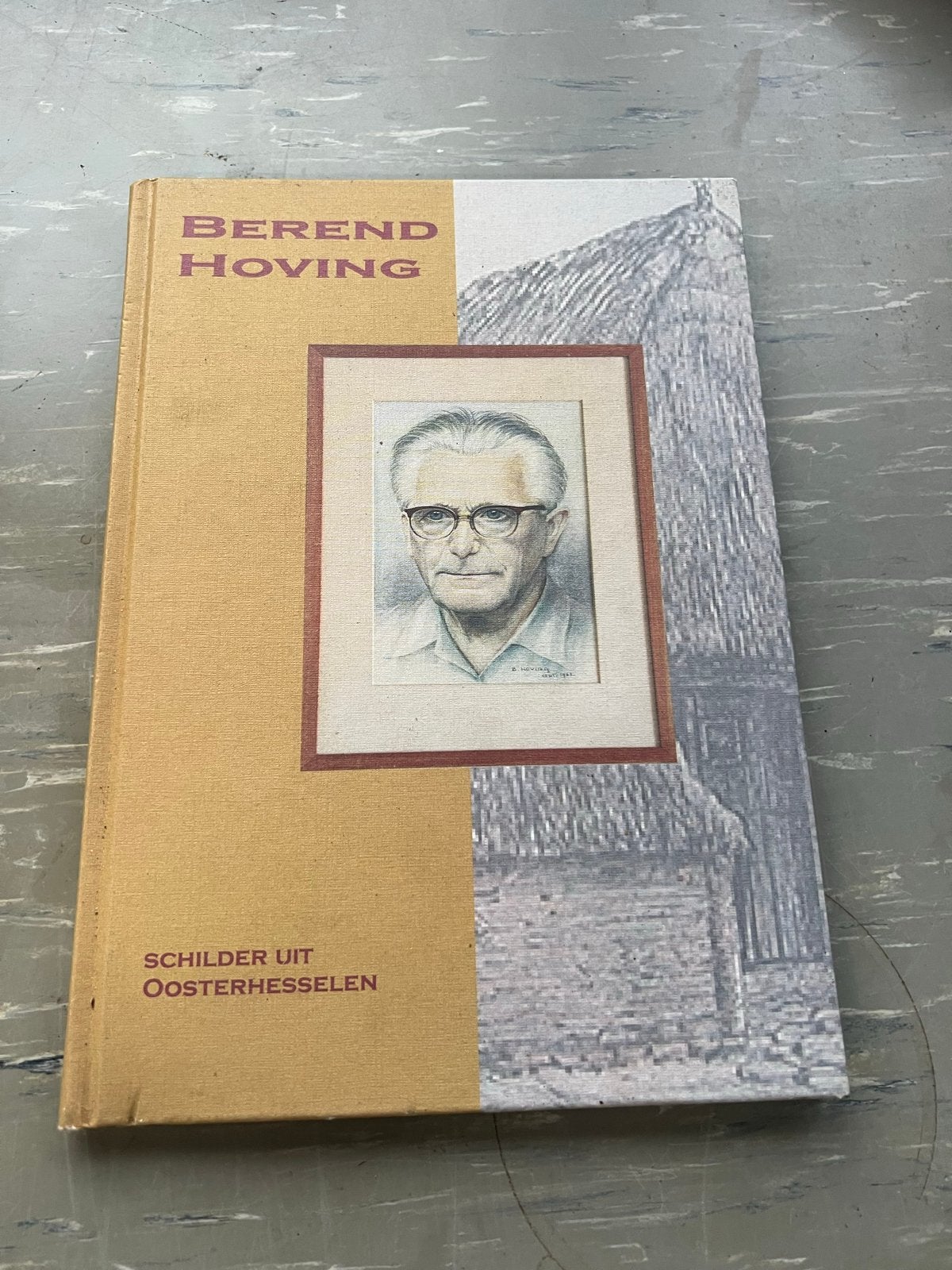 Berend Hoving: Schilder uit Oosterhesselen, Ophalen of Verzenden, Zo goed als nieuw, Overige onderwerpen