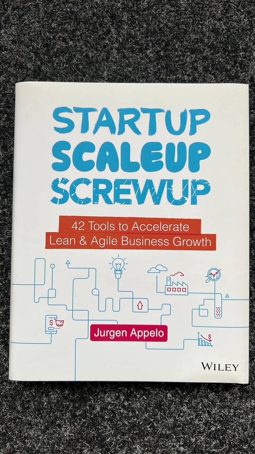 Startup scaleup scewup, Ophalen of Verzenden, Zo goed als nieuw, Management